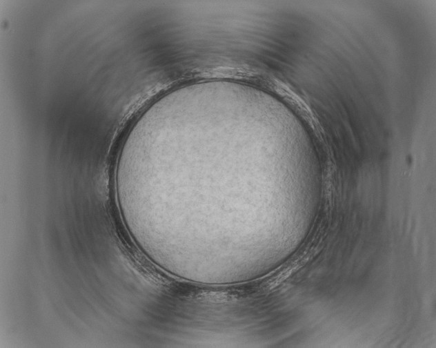 X0000087040298200705091117