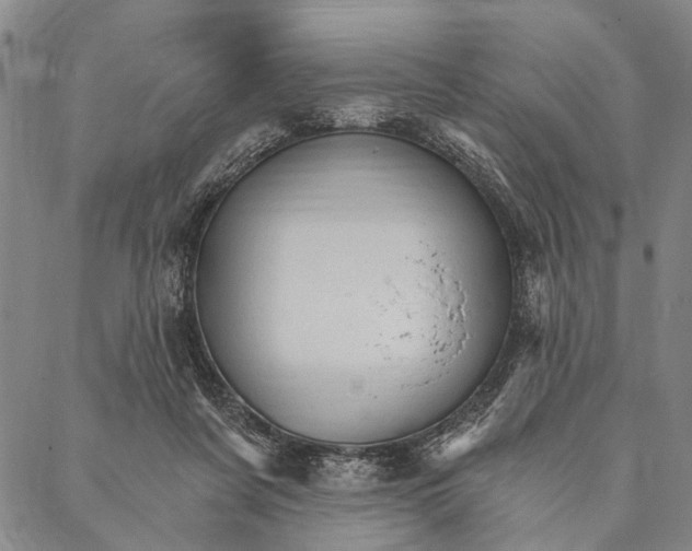 X0000087040311200705091117