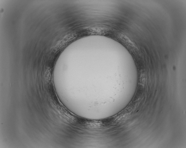 X0000087040318200705091117