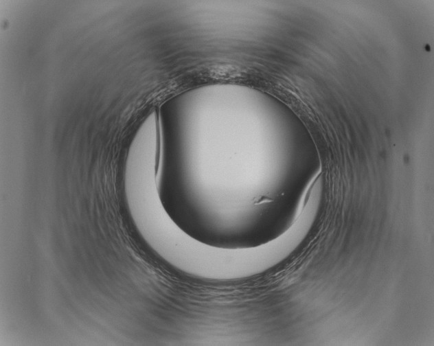 X0000087040319200705091117