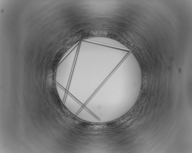 X0000087040323200705091117