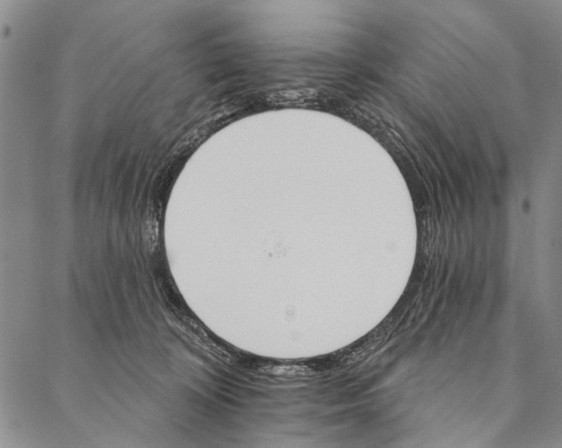 X0000087040324200705091117