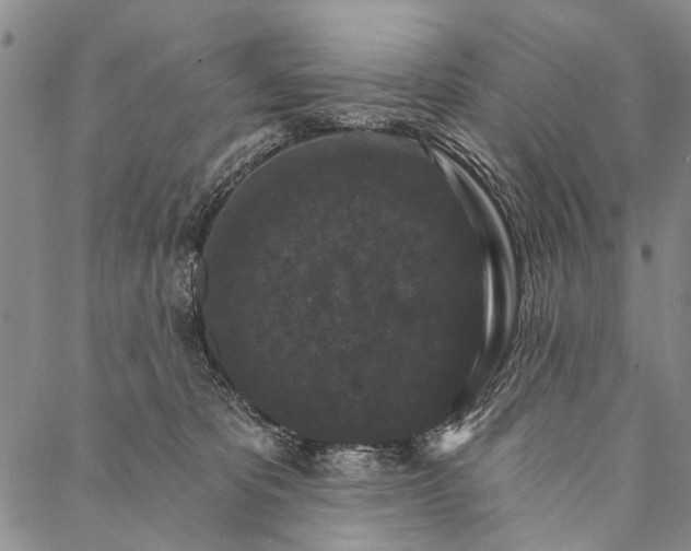 X0000087040325200705091117