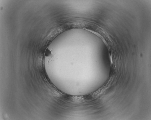 X0000087040333200705091117