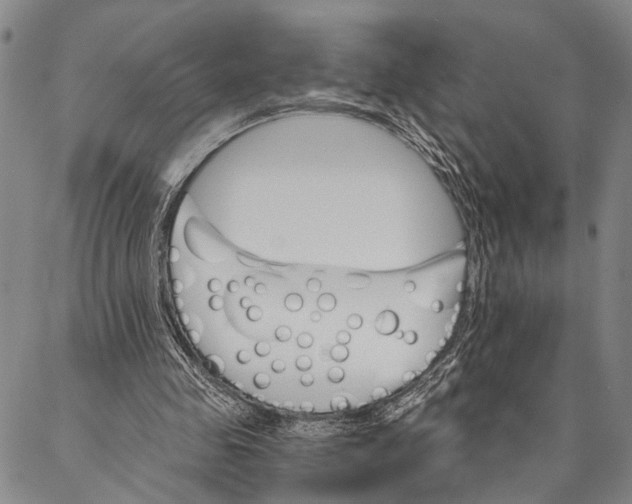 X0000087040341200705091116