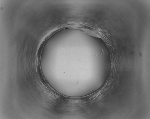 X0000087040342200705091116