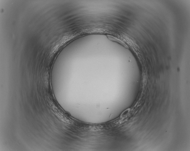 X0000087040345200705091116