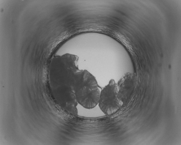 X0000087040354200705091116