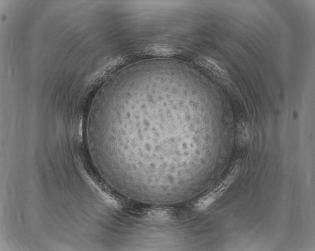 X0000087040358200705091116