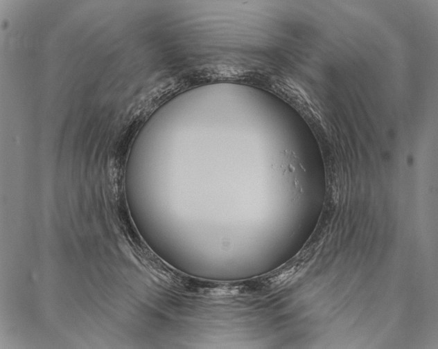 X0000087040366200705091116