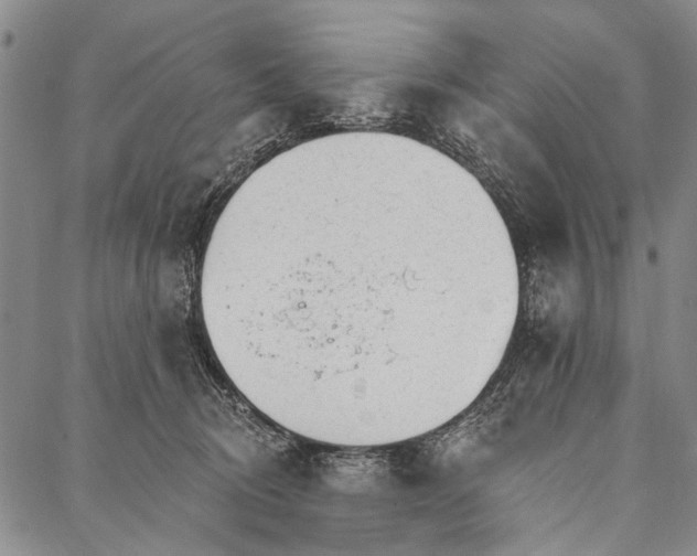 X0000087040370200705091117