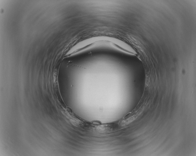 X0000087040382200705091117