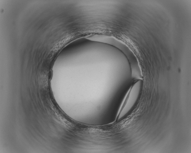X0000087040393200705091116