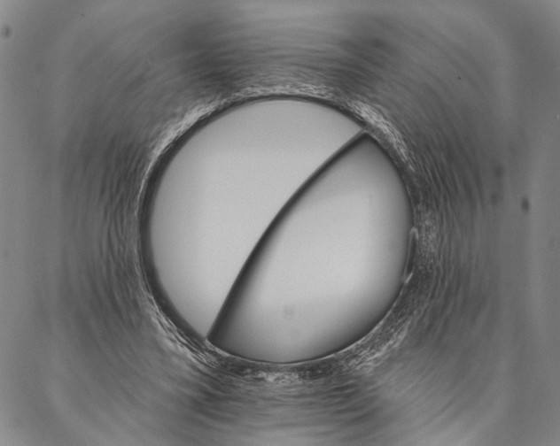 X0000087040395200705091116
