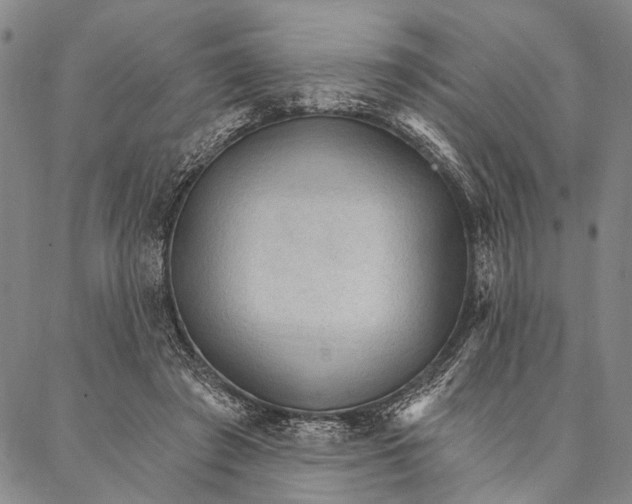 X0000087040401200705091116