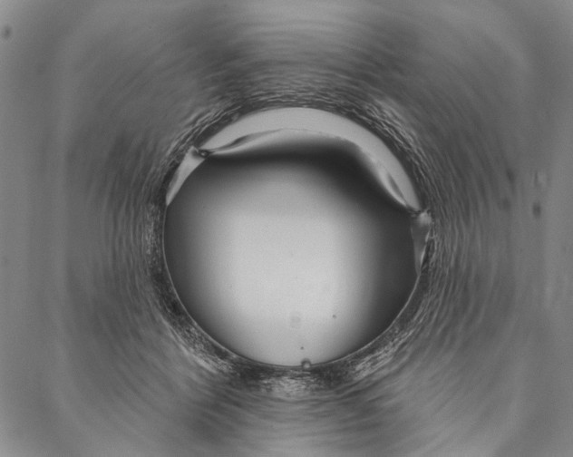 X0000087040412200705091116
