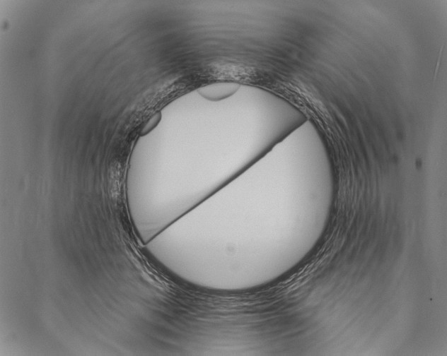 X0000087040413200705091116