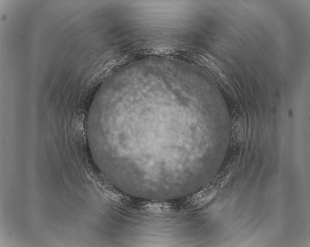 X0000087040415200705091116