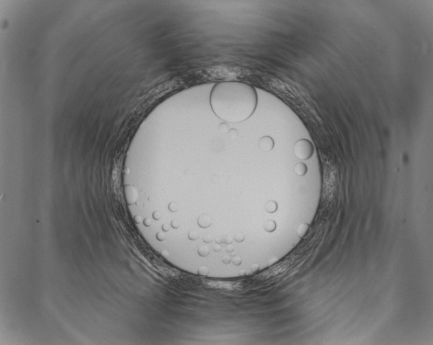 X0000087040418200705091115