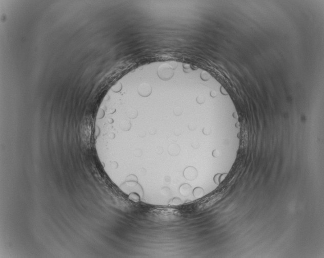 X0000087040427200705091115