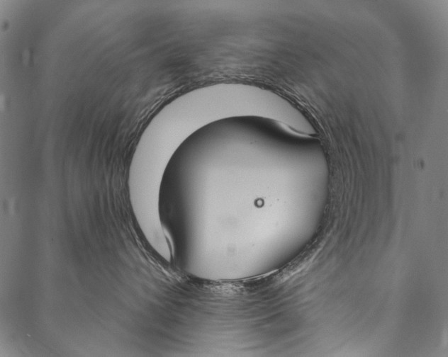 X0000087040432200705091115