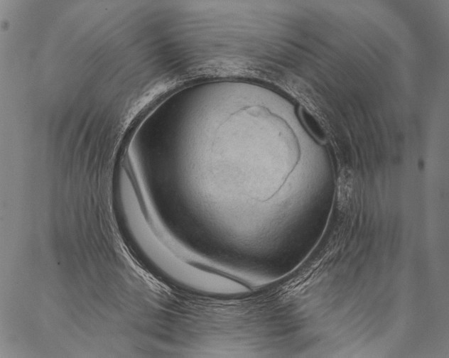 X0000087040438200705091115