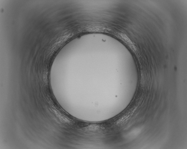 X0000087040441200705091115