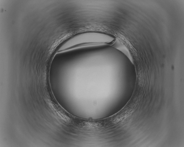 X0000087040442200705091115