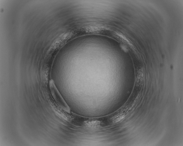 X0000087040452200705091115