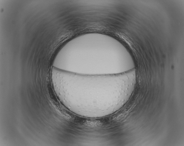 X0000087040455200705091115