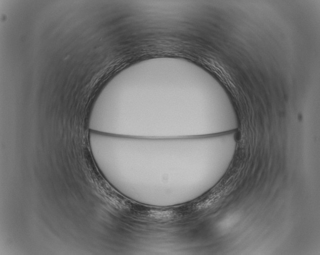X0000087040457200705091115