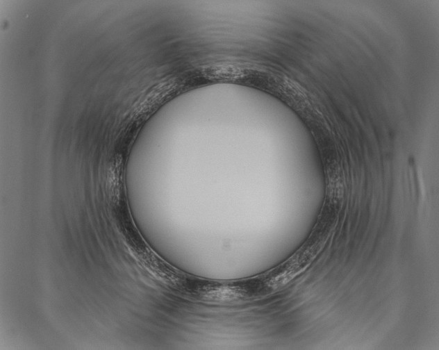 X0000087040460200705091115