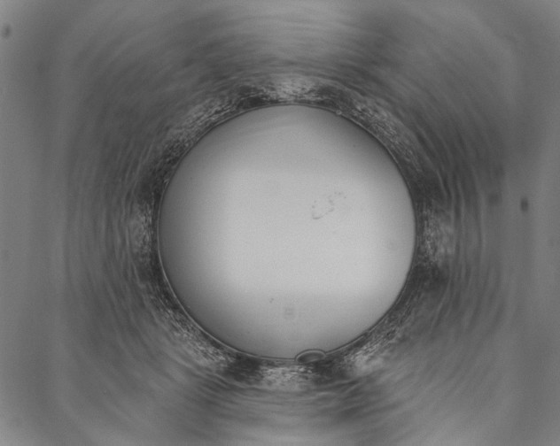 X0000087040461200705091115