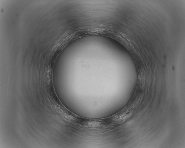 X0000087040462200705091115