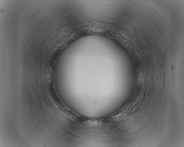X0000087040464200705091115