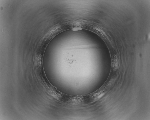 X0000087040466200705091115