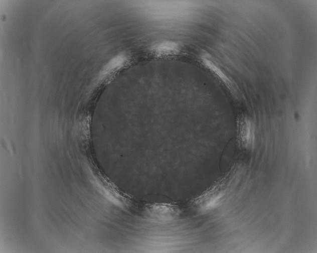 X0000087040475200705091115
