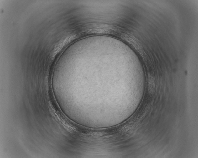 X0000087040482200705091114