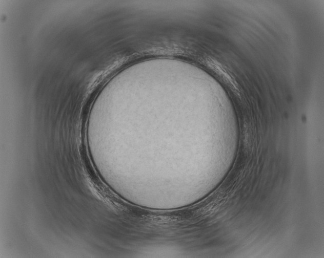 X0000087040486200705091114