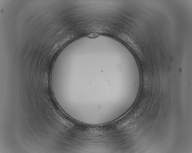 X0000087040489200705091114