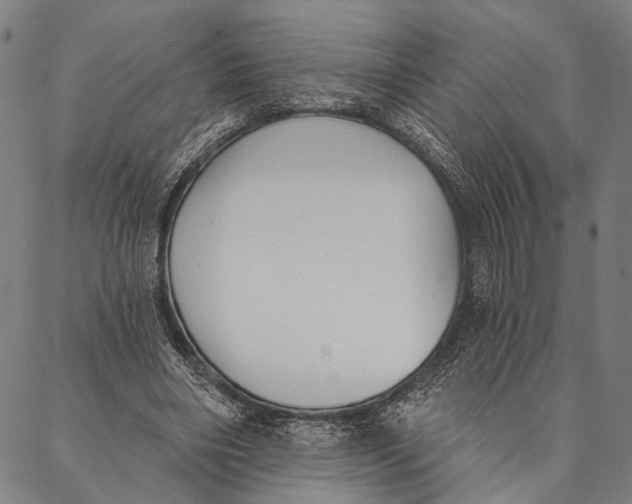 X0000087040490200705091114