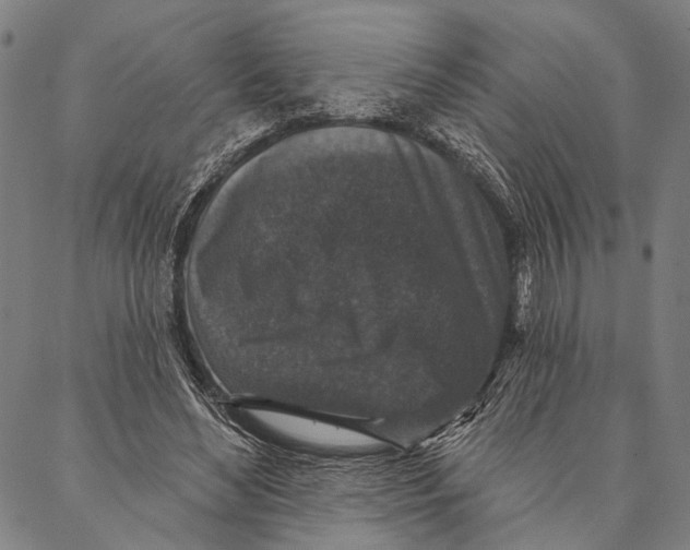 X0000087040492200705091114