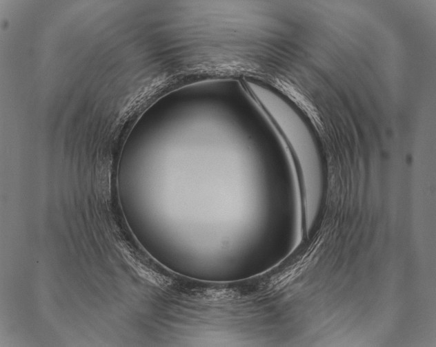X0000087040493200705091114