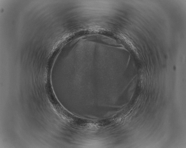 X0000087040496200705091114
