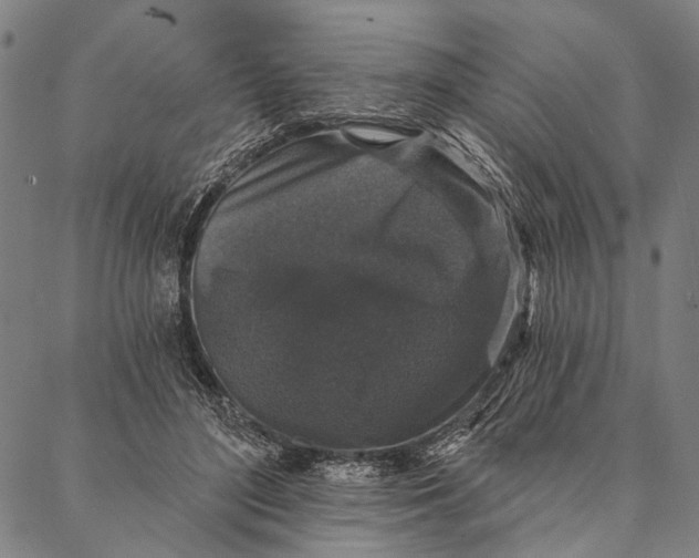 X0000087040500200705091114