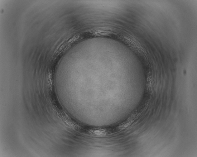 X0000087040506200705091114