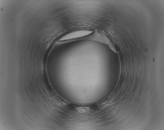 X0000087040508200705091114