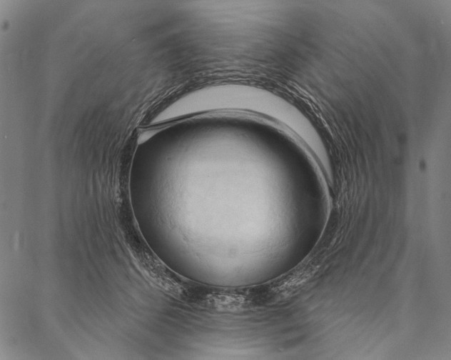 X0000087040512200705091114