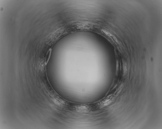 X0000087040513200705091114
