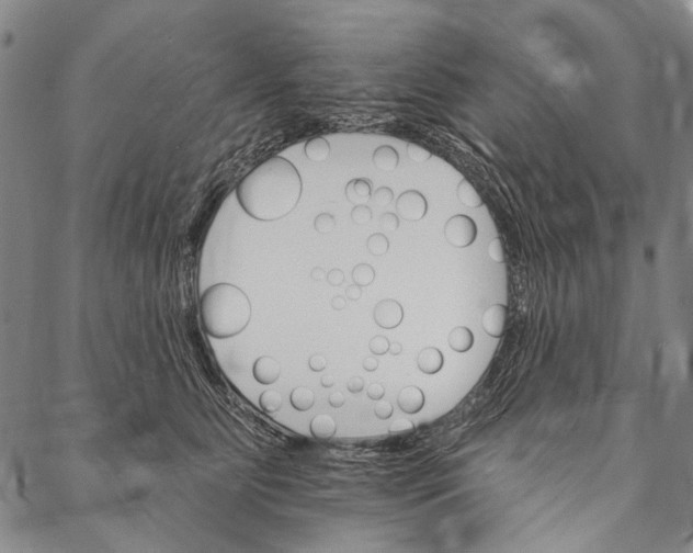 X0000087040515200705091114